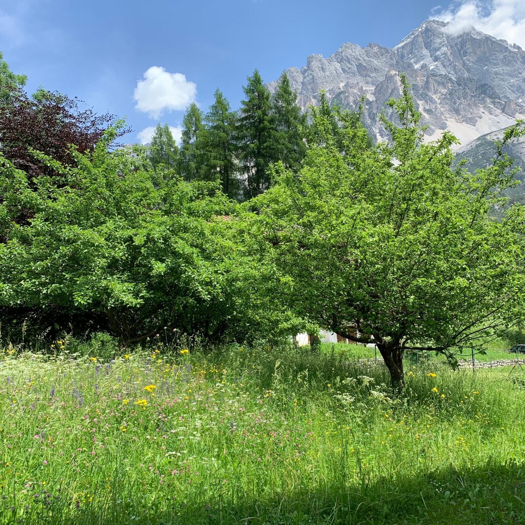 Villanova Piccolo Gioiello Di Montagna公寓 外观 照片